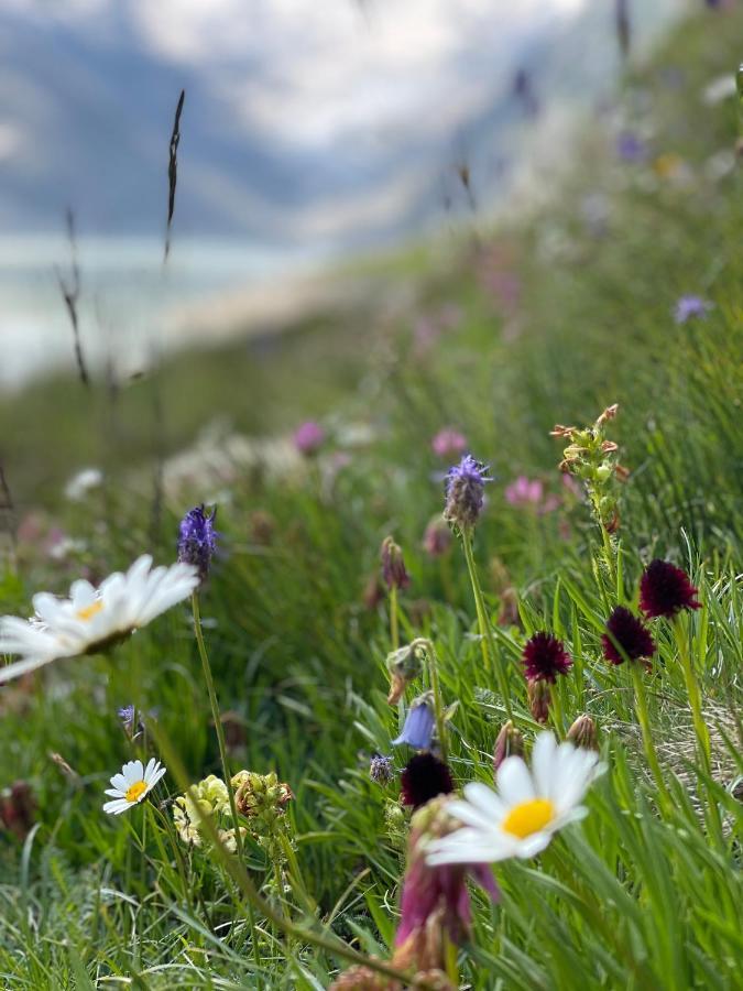 Naturlodge Gadestatt Εξωτερικό φωτογραφία