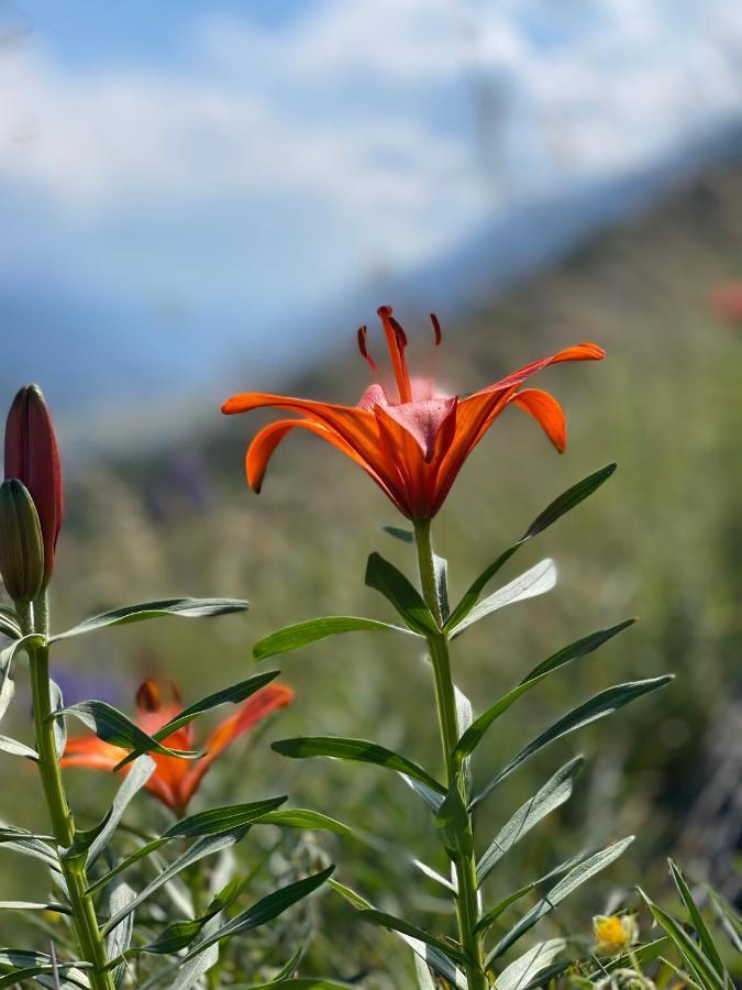 Naturlodge Gadestatt Εξωτερικό φωτογραφία